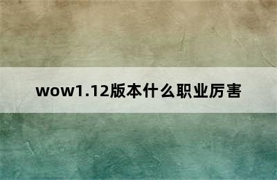 wow1.12版本什么职业厉害