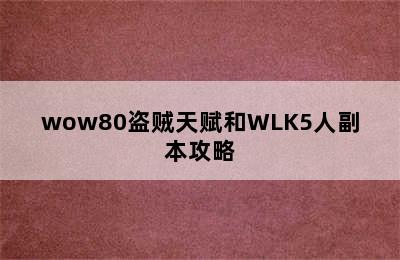 wow80盗贼天赋和WLK5人副本攻略