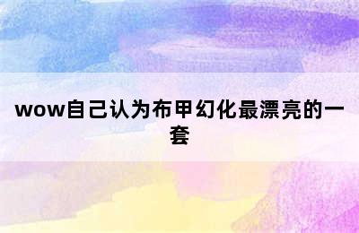 wow自己认为布甲幻化最漂亮的一套