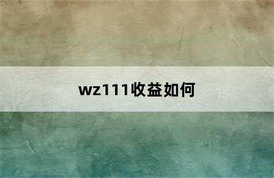 wz111收益如何