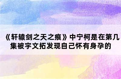 《轩辕剑之天之痕》中宁柯是在第几集被宇文拓发现自己怀有身孕的