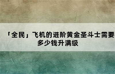 「全民」飞机的进阶黄金圣斗士需要多少钱升满级