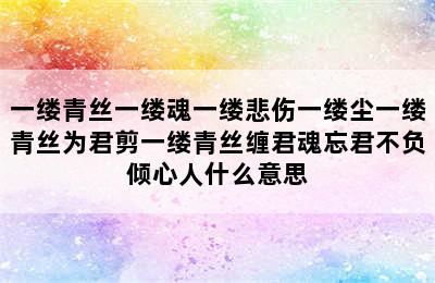 一缕青丝一缕魂一缕悲伤一缕尘一缕青丝为君剪一缕青丝缠君魂忘君不负倾心人什么意思