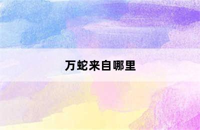 万蛇来自哪里