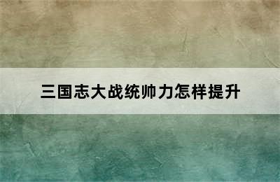 三国志大战统帅力怎样提升