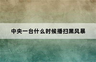 中央一台什么时候播扫黑风暴