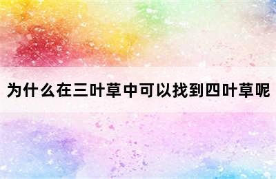 为什么在三叶草中可以找到四叶草呢