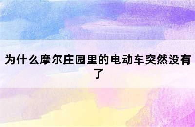 为什么摩尔庄园里的电动车突然没有了