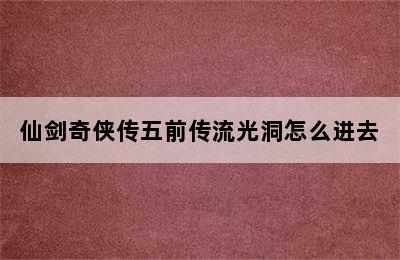 仙剑奇侠传五前传流光洞怎么进去