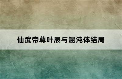 仙武帝尊叶辰与混沌体结局