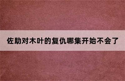 佐助对木叶的复仇哪集开始不会了