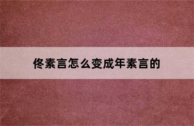 佟素言怎么变成年素言的