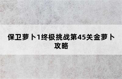 保卫萝卜1终极挑战第45关金萝卜攻略