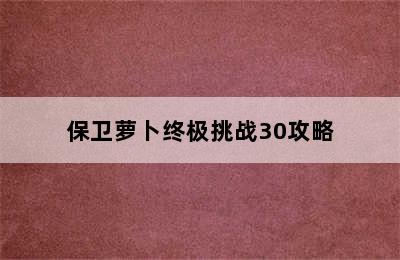 保卫萝卜终极挑战30攻略