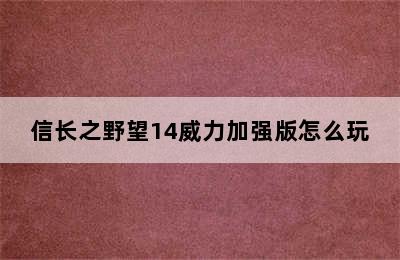 信长之野望14威力加强版怎么玩