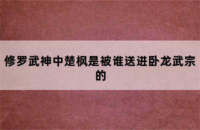 修罗武神中楚枫是被谁送进卧龙武宗的