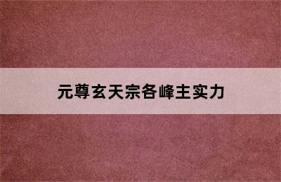 元尊玄天宗各峰主实力