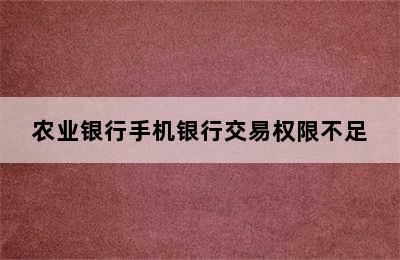 农业银行手机银行交易权限不足