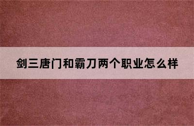 剑三唐门和霸刀两个职业怎么样