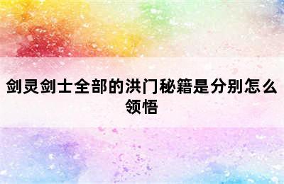 剑灵剑士全部的洪门秘籍是分别怎么领悟