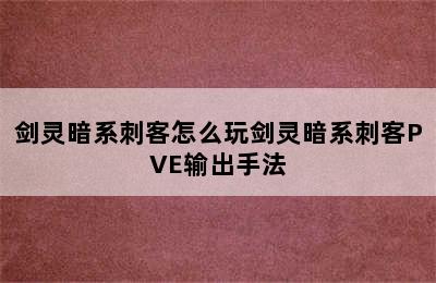 剑灵暗系刺客怎么玩剑灵暗系刺客PVE输出手法