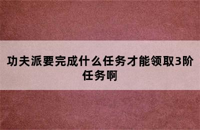 功夫派要完成什么任务才能领取3阶任务啊