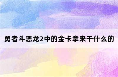 勇者斗恶龙2中的金卡拿来干什么的