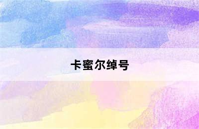 卡蜜尔绰号