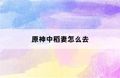 原神中稻妻怎么去