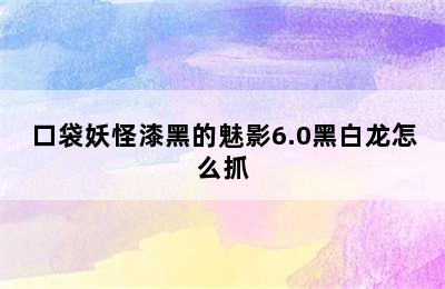 口袋妖怪漆黑的魅影6.0黑白龙怎么抓