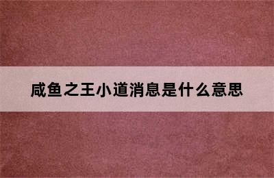 咸鱼之王小道消息是什么意思