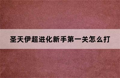 圣天伊超进化新手第一关怎么打