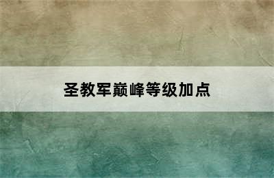 圣教军巅峰等级加点