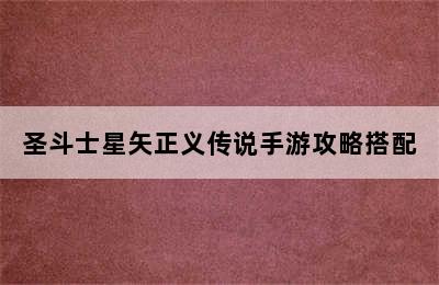 圣斗士星矢正义传说手游攻略搭配