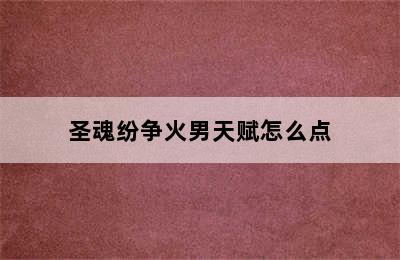 圣魂纷争火男天赋怎么点