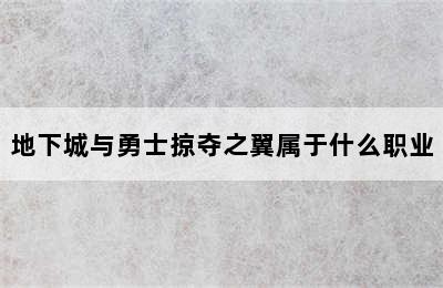 地下城与勇士掠夺之翼属于什么职业