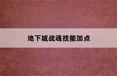 地下城战魂技能加点