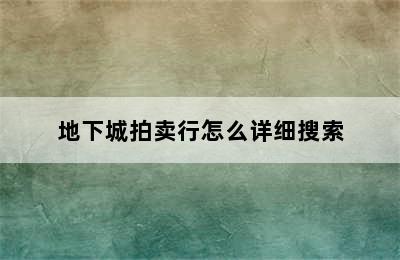 地下城拍卖行怎么详细搜索