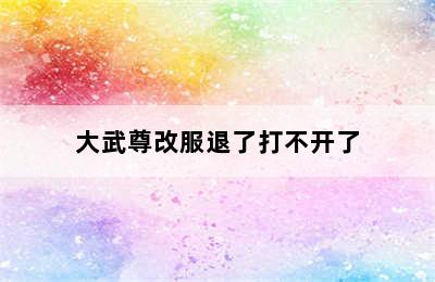 大武尊改服退了打不开了