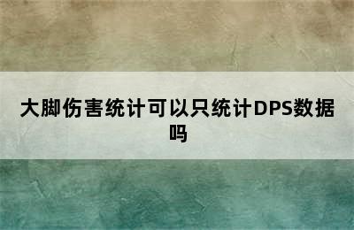 大脚伤害统计可以只统计DPS数据吗