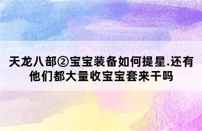 天龙八部②宝宝装备如何提星.还有他们都大量收宝宝套来干吗