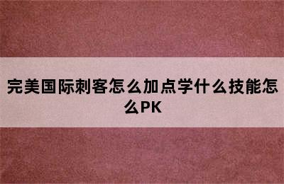 完美国际刺客怎么加点学什么技能怎么PK