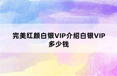 完美红颜白银VIP介绍白银VIP多少钱