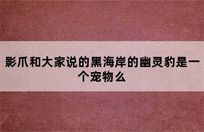 影爪和大家说的黑海岸的幽灵豹是一个宠物么