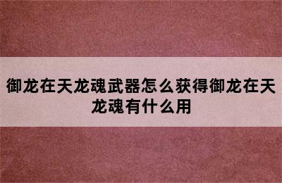 御龙在天龙魂武器怎么获得御龙在天龙魂有什么用