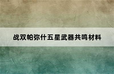 战双帕弥什五星武器共鸣材料