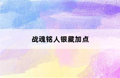 战魂铭人银藏加点