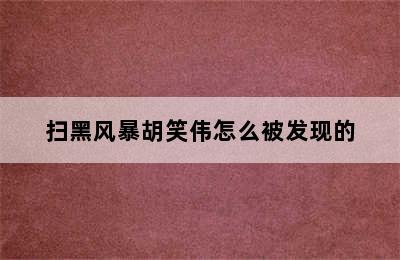 扫黑风暴胡笑伟怎么被发现的