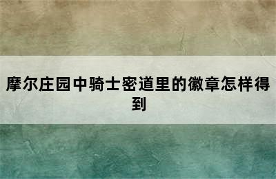 摩尔庄园中骑士密道里的徽章怎样得到