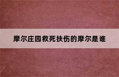 摩尔庄园救死扶伤的摩尔是谁